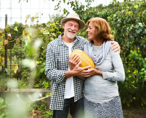 hobbies for senior couples